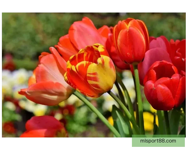 冬窗最后一天回望主队转会期操作成败与期待得失盘点和未来布局