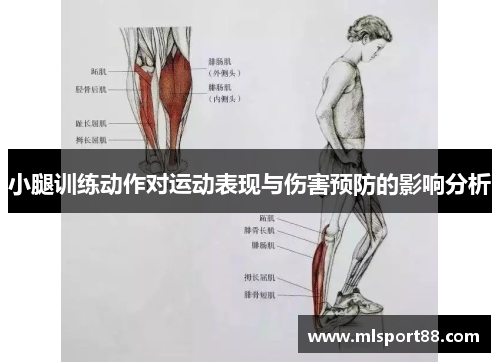 小腿训练动作对运动表现与伤害预防的影响分析